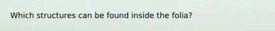 Which structures can be found inside the folia?