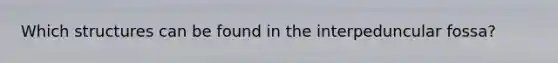 Which structures can be found in the interpeduncular fossa?