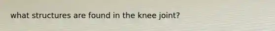 what structures are found in the knee joint?