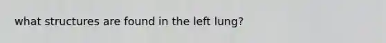 what structures are found in the left lung?
