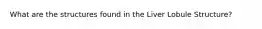What are the structures found in the Liver Lobule Structure?