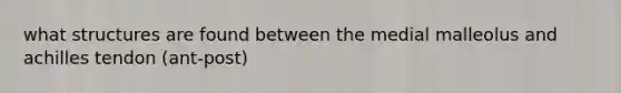 what structures are found between the medial malleolus and achilles tendon (ant-post)