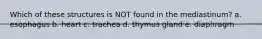 Which of these structures is NOT found in the mediastinum? a. esophagus b. heart c. trachea d. thymus gland e. diaphragm