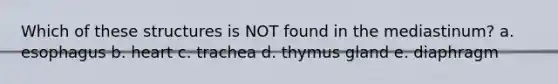 Which of these structures is NOT found in the mediastinum? a. esophagus b. heart c. trachea d. thymus gland e. diaphragm