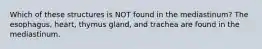 Which of these structures is NOT found in the mediastinum? The esophagus, heart, thymus gland, and trachea are found in the mediastinum.