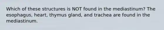 Which of these structures is NOT found in the mediastinum? The esophagus, heart, thymus gland, and trachea are found in the mediastinum.