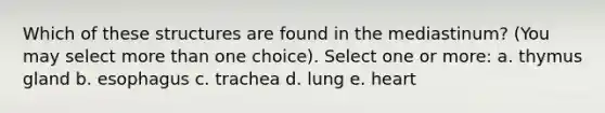 Which of these structures are found in the mediastinum? (You may select more than one choice). Select one or more: a. thymus gland b. esophagus c. trachea d. lung e. heart