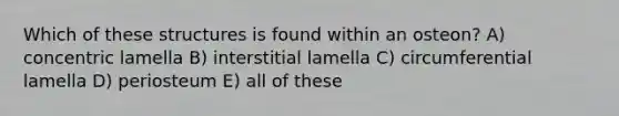 Which of these structures is found within an osteon? A) concentric lamella B) interstitial lamella C) circumferential lamella D) periosteum E) all of these