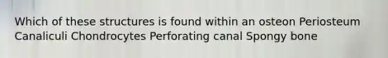 Which of these structures is found within an osteon Periosteum Canaliculi Chondrocytes Perforating canal Spongy bone