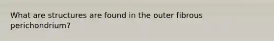 What are structures are found in the outer fibrous perichondrium?