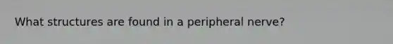 What structures are found in a peripheral nerve?