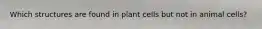 Which structures are found in plant cells but not in animal cells?