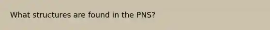 What structures are found in the PNS?