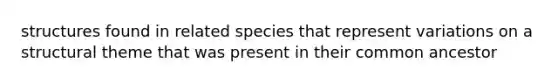 structures found in related species that represent variations on a structural theme that was present in their common ancestor