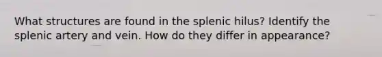 What structures are found in the splenic hilus? Identify the splenic artery and vein. How do they differ in appearance?