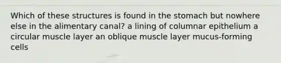 Which of these structures is found in <a href='https://www.questionai.com/knowledge/kLccSGjkt8-the-stomach' class='anchor-knowledge'>the stomach</a> but nowhere else in the alimentary canal? a lining of columnar epithelium a circular muscle layer an oblique muscle layer mucus-forming cells