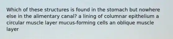 Which of these structures is found in the stomach but nowhere else in the alimentary canal? a lining of columnar epithelium a circular muscle layer mucus-forming cells an oblique muscle layer