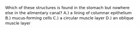 Which of these structures is found in the stomach but nowhere else in the alimentary canal? A.) a lining of columnar epithelium B.) mucus-forming cells C.) a circular muscle layer D.) an oblique muscle layer