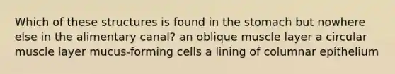 Which of these structures is found in the stomach but nowhere else in the alimentary canal? an oblique muscle layer a circular muscle layer mucus-forming cells a lining of columnar epithelium