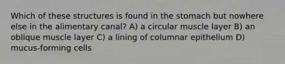 Which of these structures is found in <a href='https://www.questionai.com/knowledge/kLccSGjkt8-the-stomach' class='anchor-knowledge'>the stomach</a> but nowhere else in the alimentary canal? A) a circular muscle layer B) an oblique muscle layer C) a lining of columnar epithelium D) mucus-forming cells