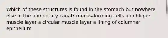 Which of these structures is found in <a href='https://www.questionai.com/knowledge/kLccSGjkt8-the-stomach' class='anchor-knowledge'>the stomach</a> but nowhere else in the alimentary canal? mucus-forming cells an oblique muscle layer a circular muscle layer a lining of columnar epithelium