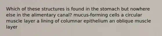 Which of these structures is found in <a href='https://www.questionai.com/knowledge/kLccSGjkt8-the-stomach' class='anchor-knowledge'>the stomach</a> but nowhere else in the alimentary canal? mucus-forming cells a circular muscle layer a lining of columnar epithelium an oblique muscle layer