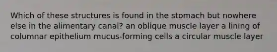 Which of these structures is found in <a href='https://www.questionai.com/knowledge/kLccSGjkt8-the-stomach' class='anchor-knowledge'>the stomach</a> but nowhere else in the alimentary canal? an oblique muscle layer a lining of columnar epithelium mucus-forming cells a circular muscle layer