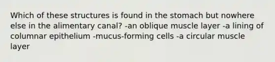 Which of these structures is found in the stomach but nowhere else in the alimentary canal? -an oblique muscle layer -a lining of columnar epithelium -mucus-forming cells -a circular muscle layer