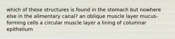 which of these structures is found in <a href='https://www.questionai.com/knowledge/kLccSGjkt8-the-stomach' class='anchor-knowledge'>the stomach</a> but nowhere else in the alimentary canal? an oblique muscle layer mucus-forming cells a circular muscle layer a lining of columnar epithelium