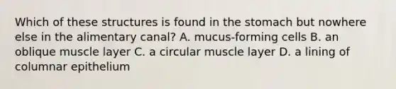 Which of these structures is found in the stomach but nowhere else in the alimentary canal? A. mucus-forming cells B. an oblique muscle layer C. a circular muscle layer D. a lining of columnar epithelium