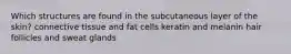 Which structures are found in the subcutaneous layer of the skin? connective tissue and fat cells keratin and melanin hair follicles and sweat glands