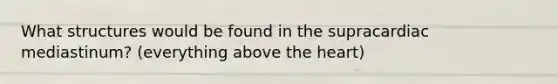 What structures would be found in the supracardiac mediastinum? (everything above the heart)