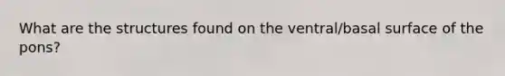 What are the structures found on the ventral/basal surface of the pons?