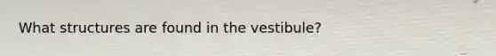 What structures are found in the vestibule?