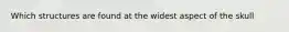 Which structures are found at the widest aspect of the skull