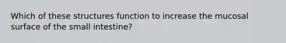 Which of these structures function to increase the mucosal surface of the small intestine?