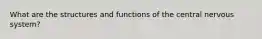 What are the structures and functions of the central nervous system?