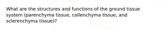 What are the structures and functions of the ground tissue system (parenchyma tissue, collenchyma tissue, and sclerenchyma tissue)?