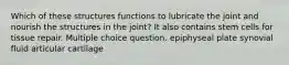 Which of these structures functions to lubricate the joint and nourish the structures in the joint? It also contains stem cells for tissue repair. Multiple choice question. epiphyseal plate synovial fluid articular cartilage