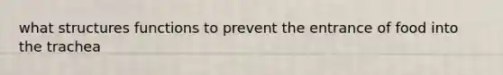 what structures functions to prevent the entrance of food into the trachea