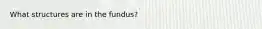 What structures are in the fundus?