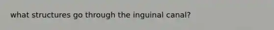 what structures go through the inguinal canal?