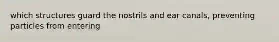 which structures guard the nostrils and ear canals, preventing particles from entering