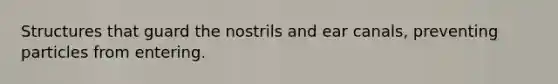 Structures that guard the nostrils and ear canals, preventing particles from entering.