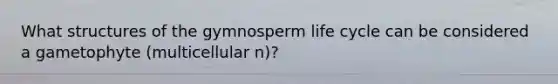 What structures of the gymnosperm life cycle can be considered a gametophyte (multicellular n)?