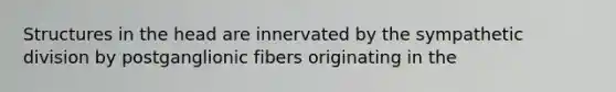 Structures in the head are innervated by the sympathetic division by postganglionic fibers originating in the
