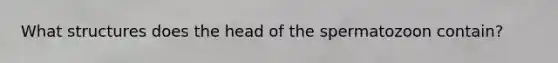 What structures does the head of the spermatozoon contain?