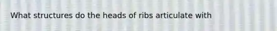 What structures do the heads of ribs articulate with