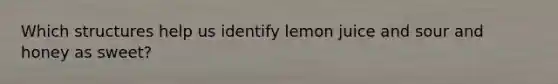 Which structures help us identify lemon juice and sour and honey as sweet?