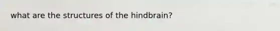 what are the structures of the hindbrain?